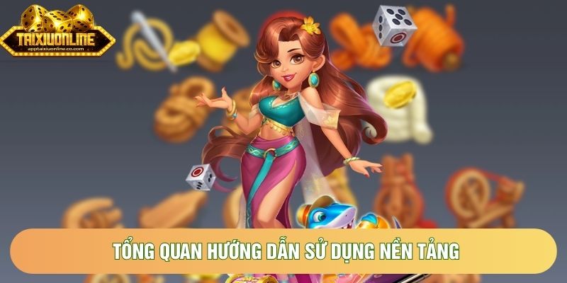 Tổng quan hướng dẫn sử dụng nền tảng